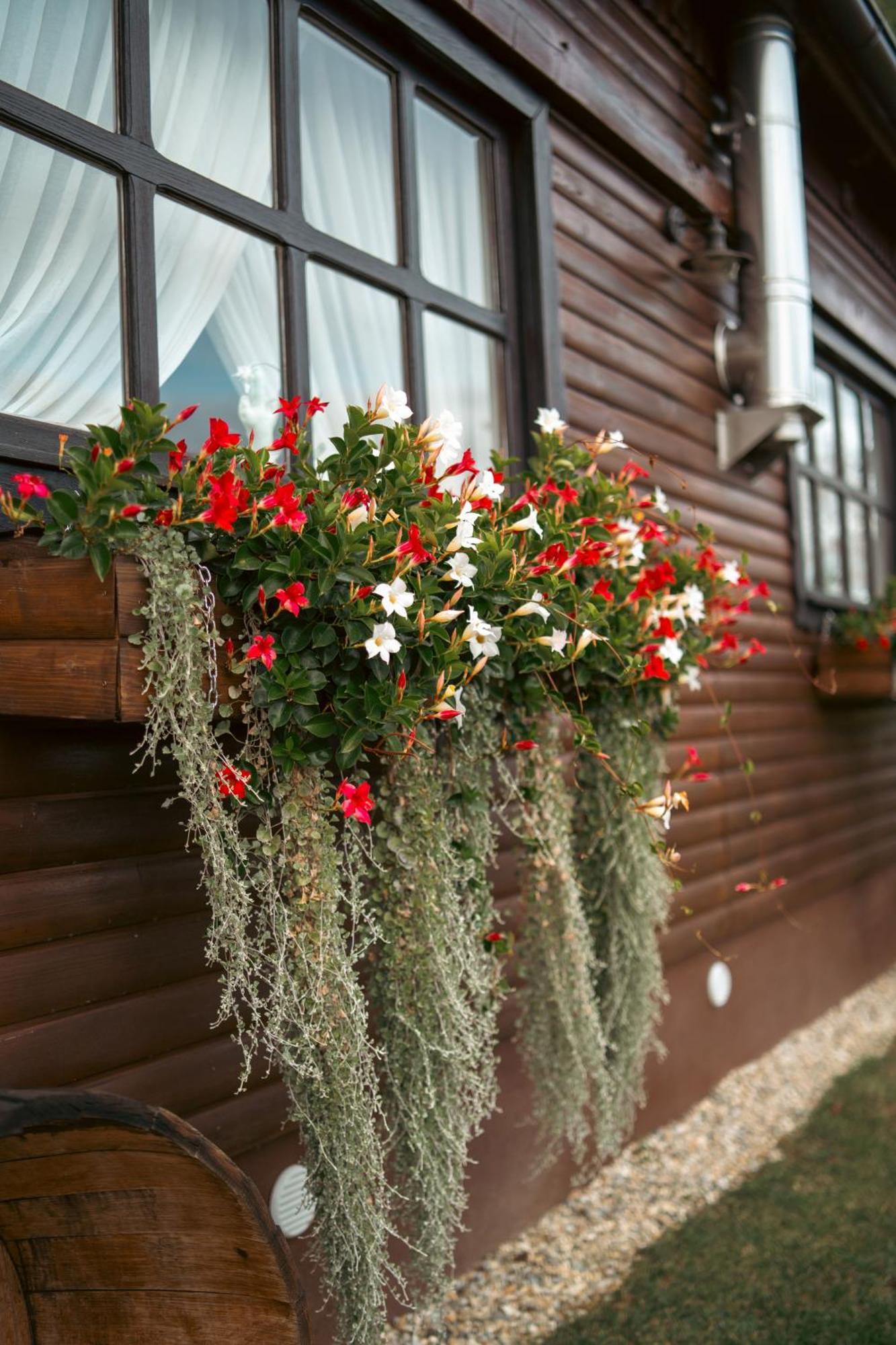 Holiday Home Hygge Nova Grabrovnik 外观 照片